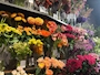 新着ブログ お花屋さん💐