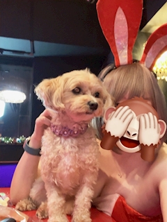 プロフィール写真3・ありす|MILLIONAIRE・ミリオネア - 池袋西口(北)のガールズバー