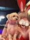 プロフィール写真3・ありす|MILLIONAIRE・ミリオネア - 池袋西口(北)のガールズバー