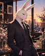 野良ウサギ🐇