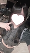 プロフィール写真2・ぽて｜メイドたこ焼き TAKOきゅん・タコキュン - 船橋のコンカフェ