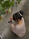 プロフィール写真1・あい|居酒屋×Snack じゃりんこ錦 - 名古屋 錦のスナック