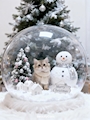 chiko