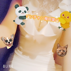 プロフィール写真14・🍍まゆ🍍|CLUB ONE CHAN 梅田堂山・ワンチャン ウメダ ドウヤマ - 堂山町の熟女パブ/熟女キャバクラ