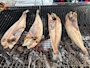 新着ブログ BBQ