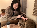 れい