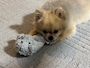 chiko
