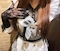 プロフィール写真4・はずき［昼の部］｜KOGA BASE・コガベース - 古河・東口のガールズバー
