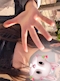 プロフィール写真1・ふわり 神田non-non|神田 キャバクラ・ノンノン
