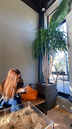 プロフィール写真1・ちな｜EDEN・エデン - 諫早市・永昌東町のキャバクラ