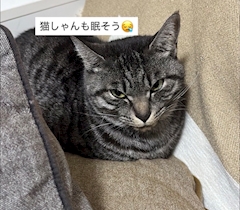 🌸 ゆづき 🌸西新イロカ💎.*