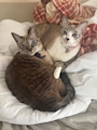 新着ブログ 深刻な