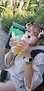 かえで