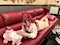 プロフィール写真1・あいこ｜星華・ホシカ - 松山市のスナック