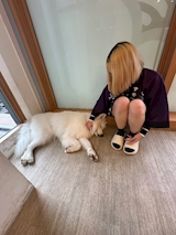*