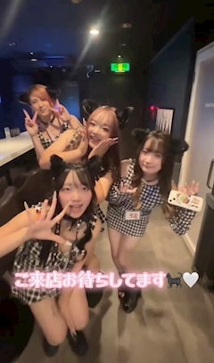 琴「19時Open！」