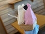 新着ブログ めちゃ美味ジェラート‼️🍨