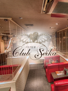プロフィール写真3・るい|Club 星華・セイカ - 岡山市(中央町)のキャバクラ