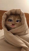 みい