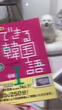 新着ブログ 🌶️🔥
