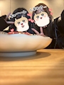 chiko