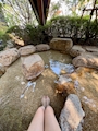 新着ブログ 足湯👣♨️