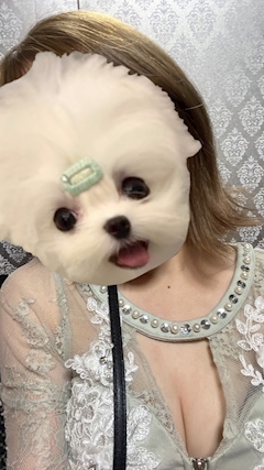 すずか「しゅっきーん🌟」
