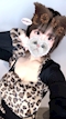 プロフィール写真2・みさ🐺オオカミちゃんカフェ梅田店🐺|オオカミちゃんカフェ梅田店 - 堂山町のガールズバー