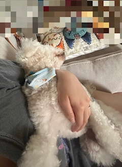 ひびき
