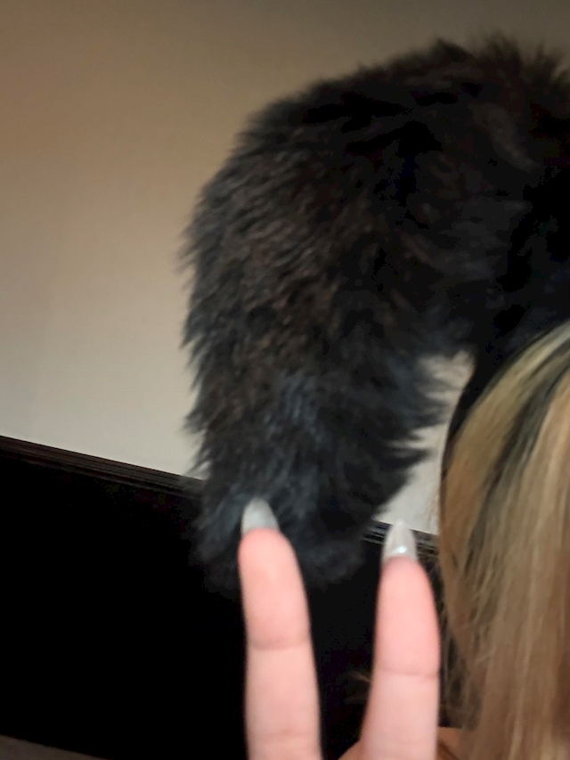 プロフィール写真1・ひな｜