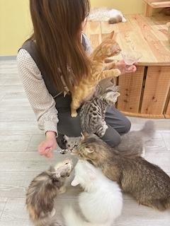 プロフィール写真3・せりか｜NYAR3・ニャーニャーニャー - 梅田のスナック