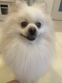 れん