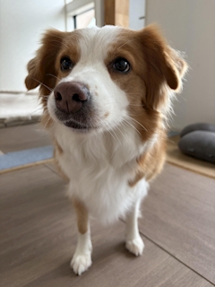 みづほ