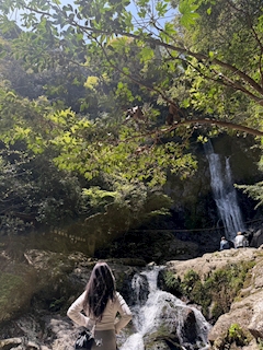 ポケパラ イチ推しキャスト りおん