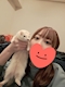 プロフィール写真6・マネージャー のあ|bar Altair・バー アルテア - 静岡 昭和町のガールズバー