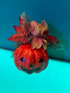しほ「トリックオアトリート👻🎃💀」