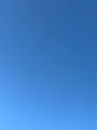 新着ブログ おはようございます☀️