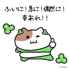 🌀ブログ背景変えてみたよー