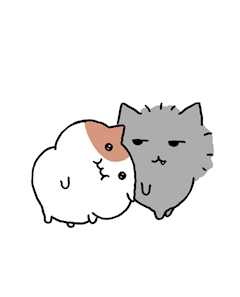 🌀18時からいるよ☺️