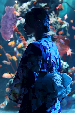 プロフィール写真2・ひよこ｜Girls Bar 鯉・コイ - 品川のガールズバー