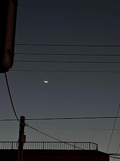 プロフィール写真1・あんな｜CLUB Reve-レーヴ-・クラブレーヴ - 燕三条駅前のクラブ/ラウンジ