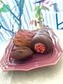 新着ブログ 🥐