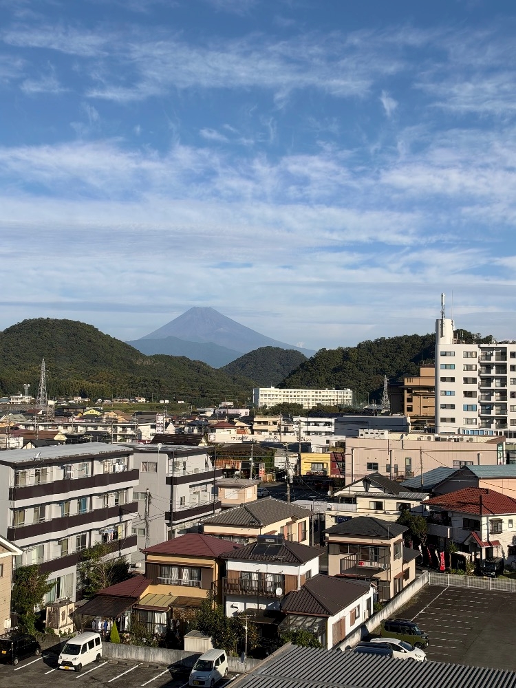 くるみ