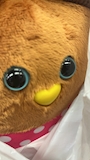 chiko