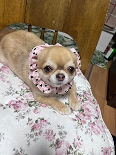 みゆ