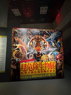 もも