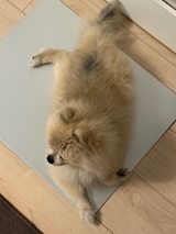 *