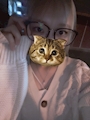 ことね