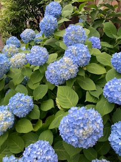 ☆ゆうこ☆