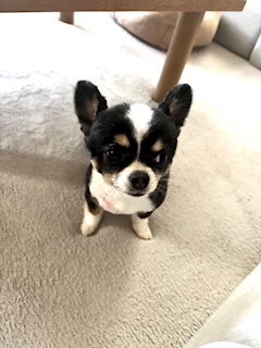 プロフィール写真1・まゆ|Lounge R&K・アールアンドケー - 多賀城のスナック